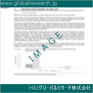 グローバルリサーチ調査資料のイメージ